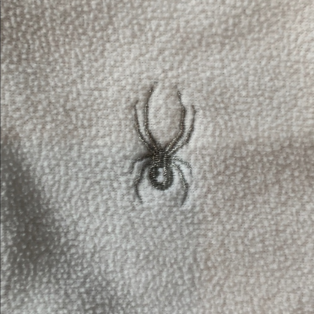 Spider - Picture 3 of 3